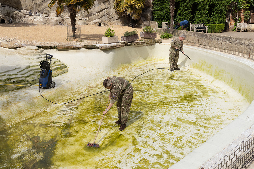 Team members pressure washing the Penguin pool